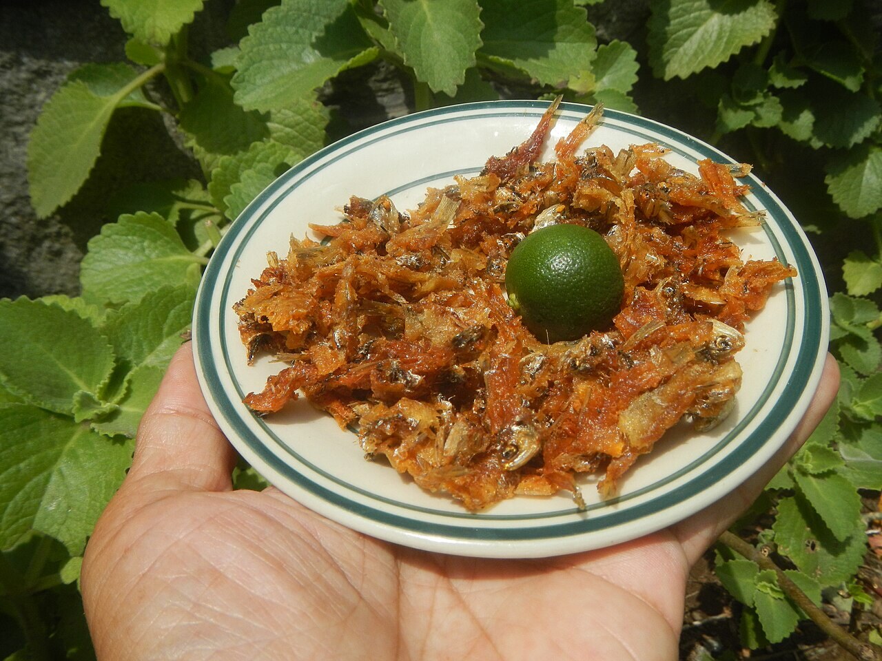Dilis Garlic Rice Bowls with Egg and Tomato - Pritong Dilis.