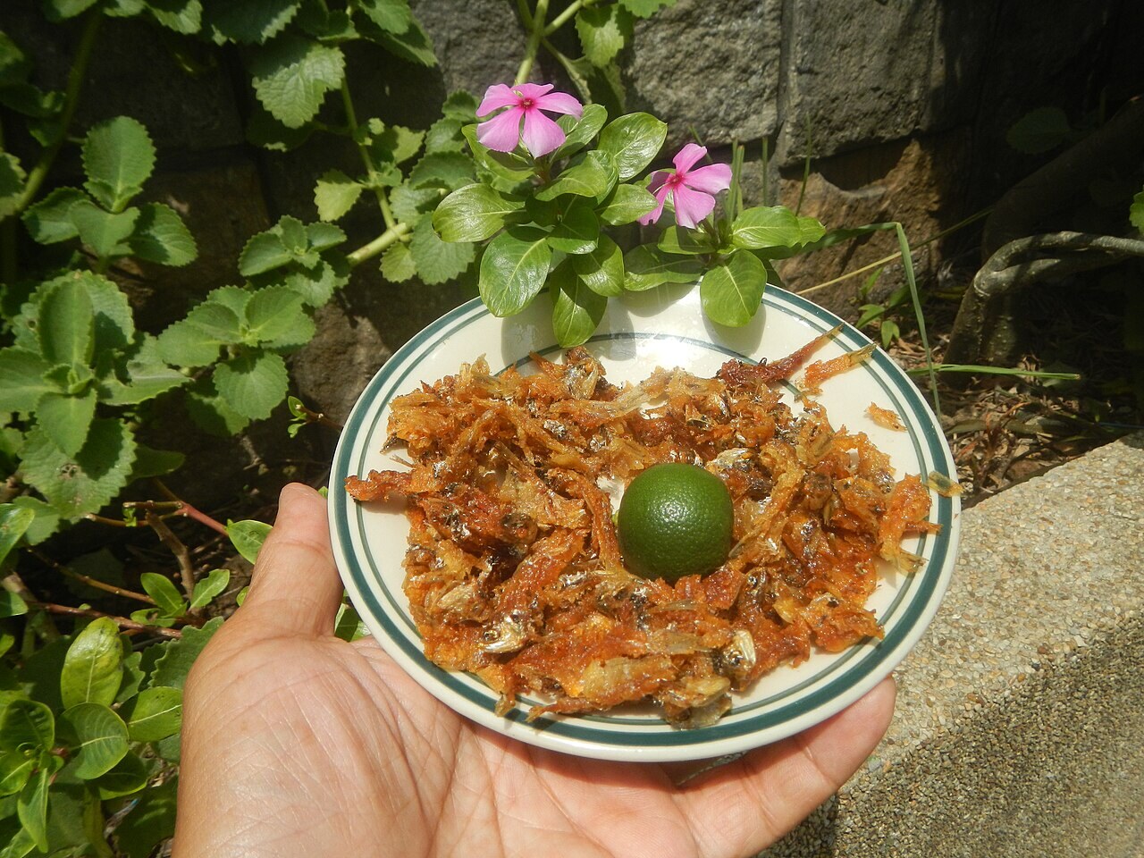 Dilis Garlic Rice Bowls with Egg and Tomato - Pritong Dilis.