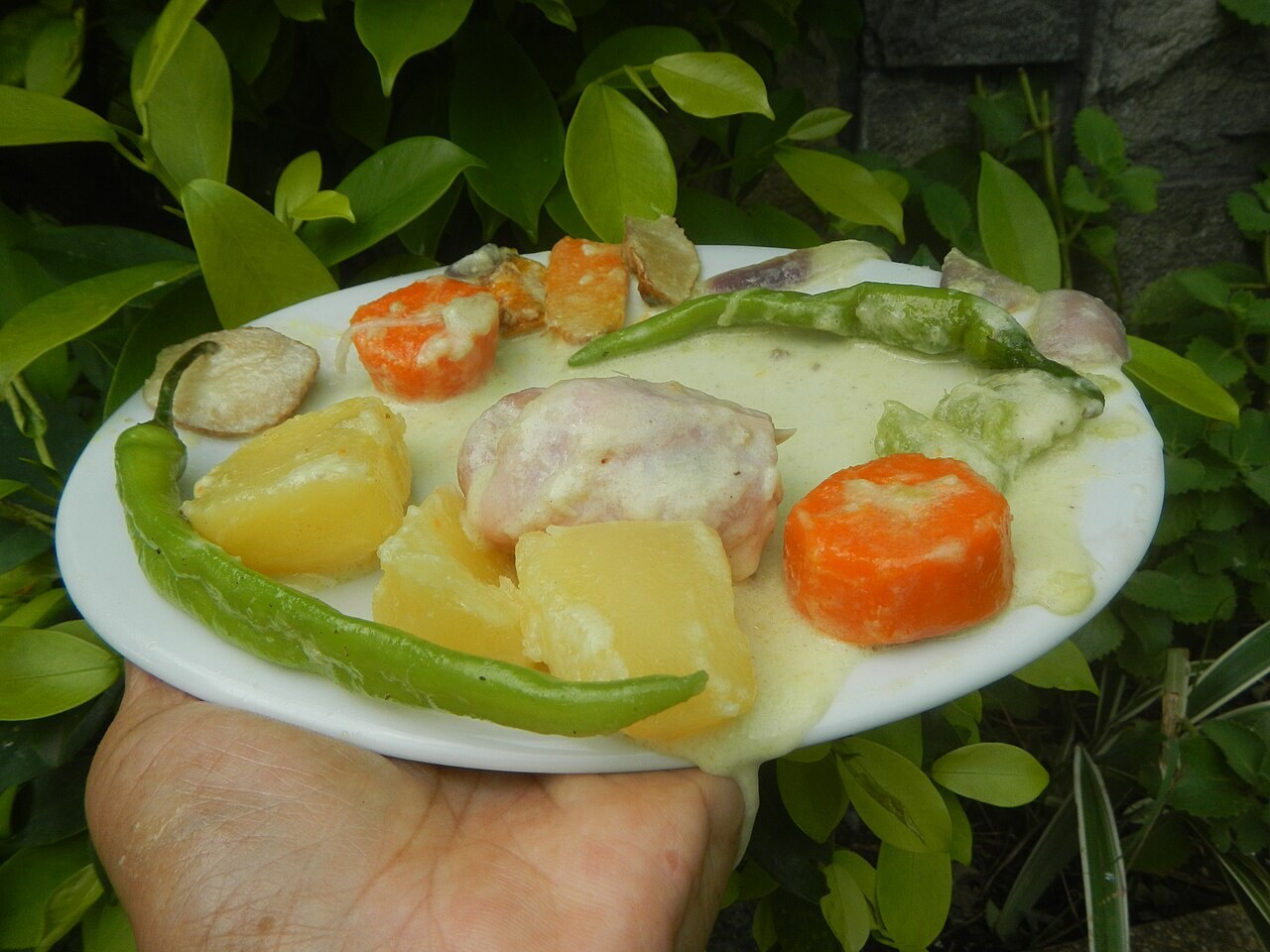 Ginataang Manok: Filipino Chicken in Coconut Milk - Ginataang manok Ginataang - Tinanglarang Manok Gramineae Tanglad Cymbopogon citratus (DC.) Stapf Xiang mao Lemon gras.