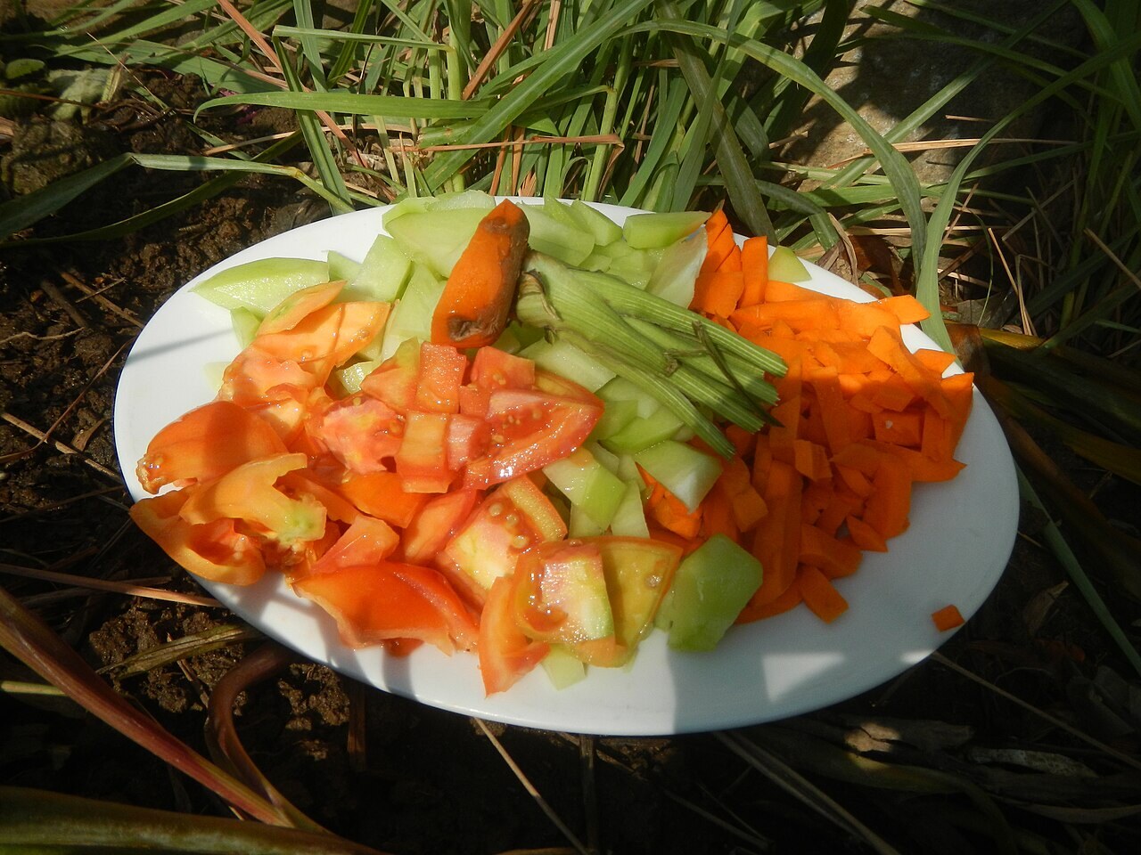 Ginisang Sayote with Shrimp: Chayote Stir-Fry - Home cooking of ginisang sayote, ampalaya and carrots during the COVID-19 pandemic in Baliuag, Bulacan Timeline of th.