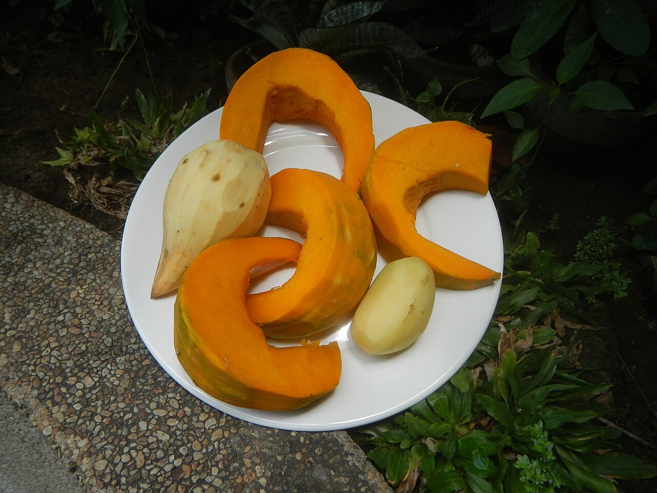 Ginataang Kalabasa at Sitaw: Squash and Long Beans in Coconut Milk - Home cooking of ginataang kalabasa, patatas at kamote during the 2020 coronavirus pandemic in Baliuag, Bulacan Timeli.