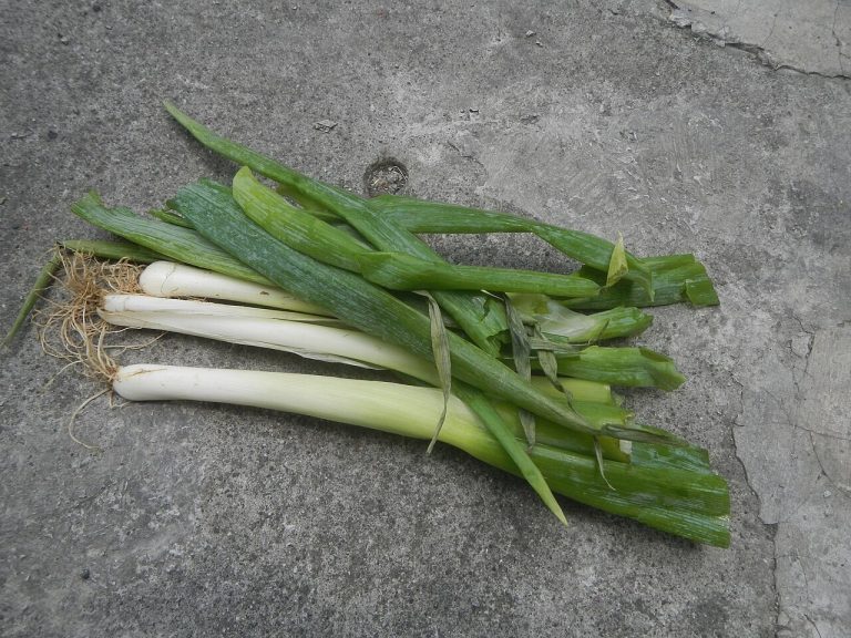 Ginisang Sayote with Shrimp: Chayote Stir-Fry recipe
