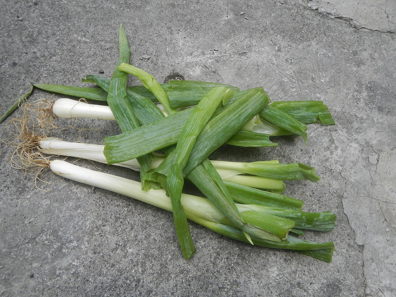 Ginisang Sayote with Shrimp: Chayote Stir-Fry - Home cooking of ginisang sayote, repolyo, patatas, leeks and kalabasa during the COVID-19 pandemic in Baliuag, Bulaca.