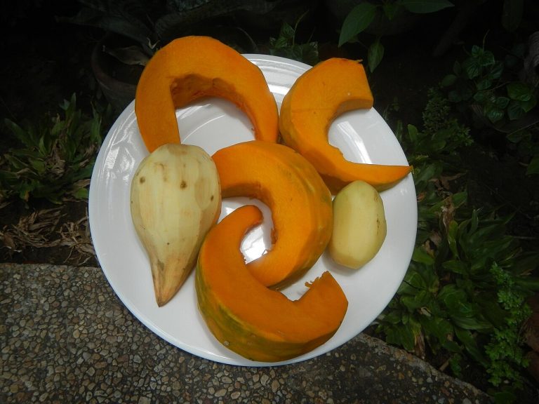 Ginataang Kalabasa at Sitaw: Squash and Long Beans in Coconut Milk recipe