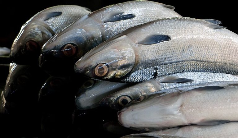 Rellenong Bangus: Stuffed Milkfish for a U.S. Kitchen recipe
