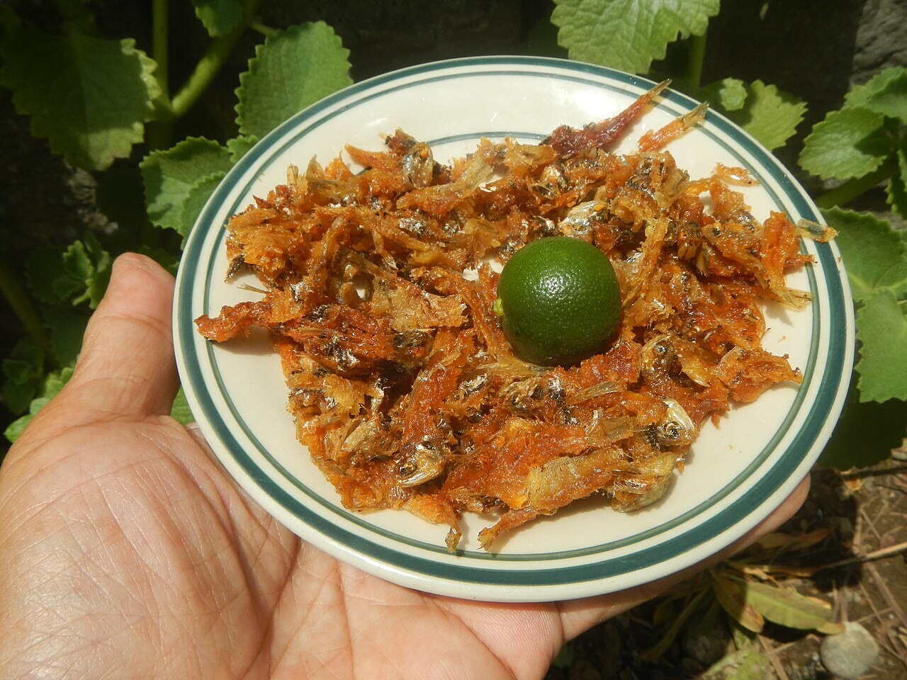 Dilis Garlic Rice Bowls with Egg and Tomato - Pritong Dilis.